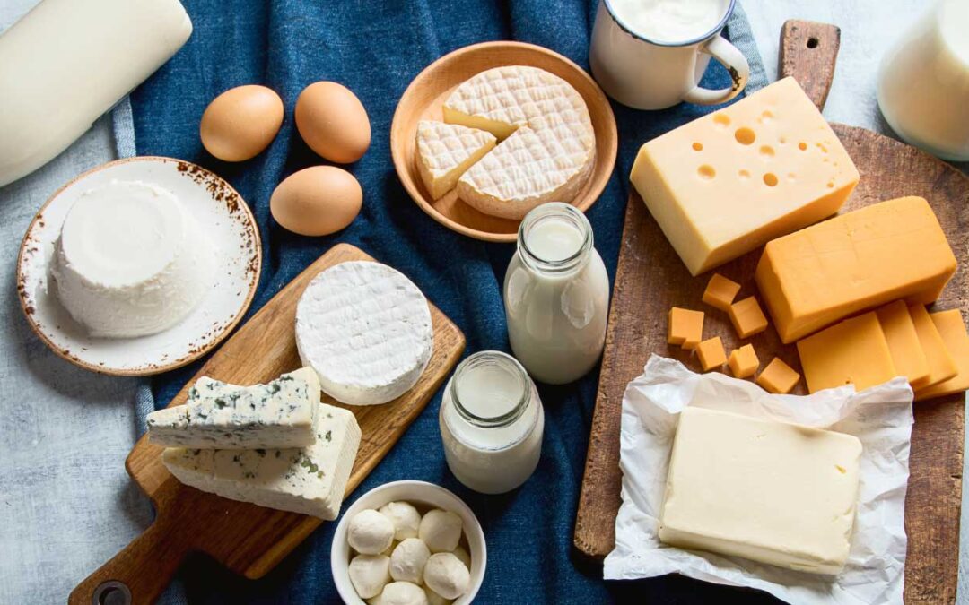 Various cheeses and glasses of milk on a table - Dairy's Role in Mental and Cognitive Health